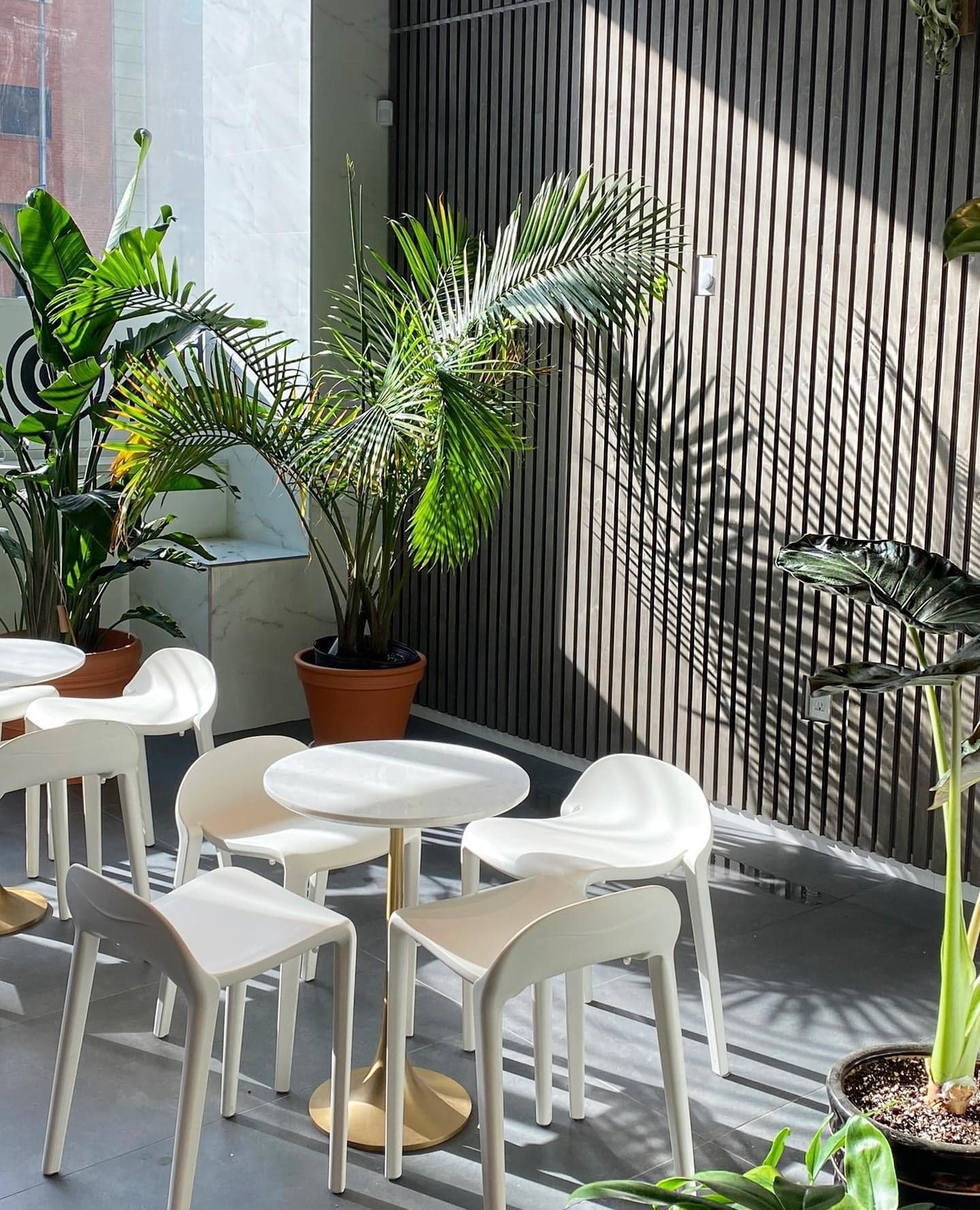 White Noise Coffee - Coffee Shop & Roastery interior