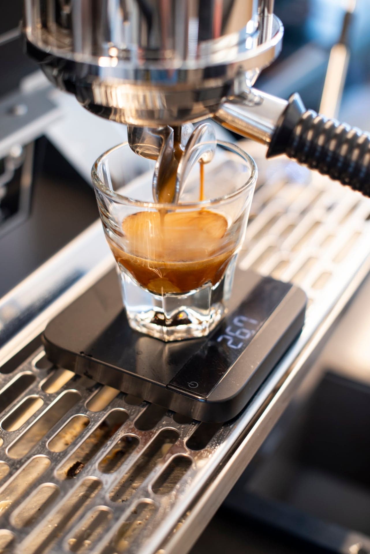 Photo of Kiss the Hippo Coffee Richmond