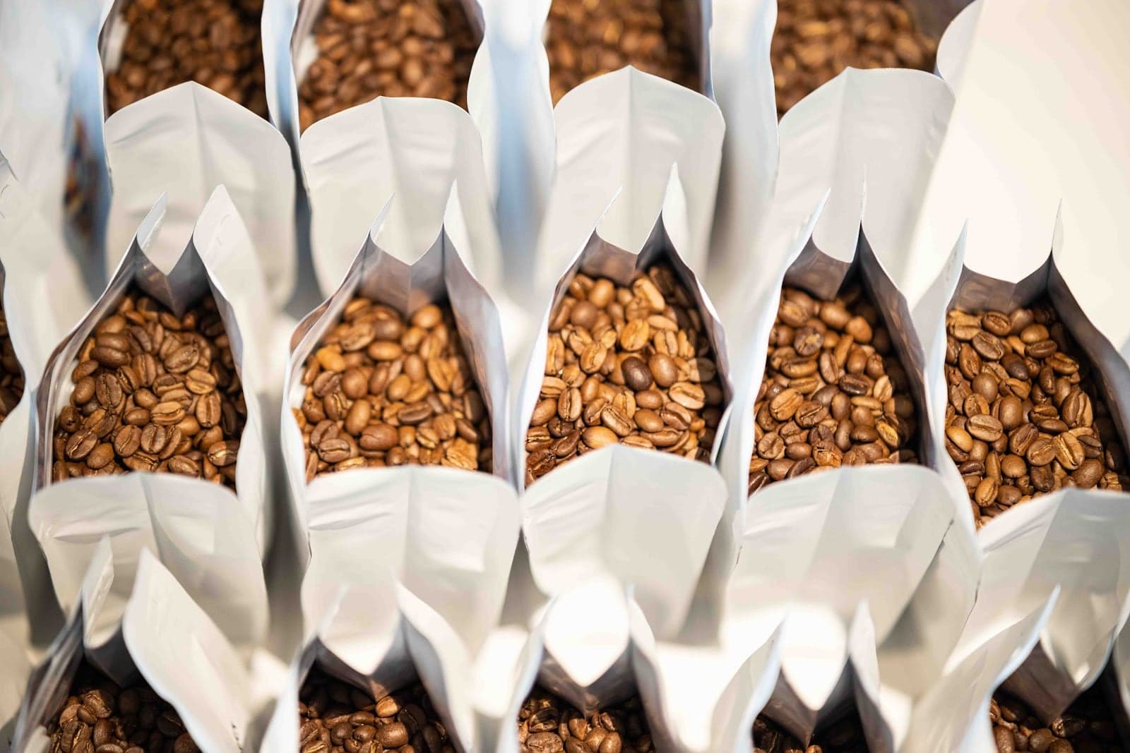 Photo of Coffee Project New York | Financial District