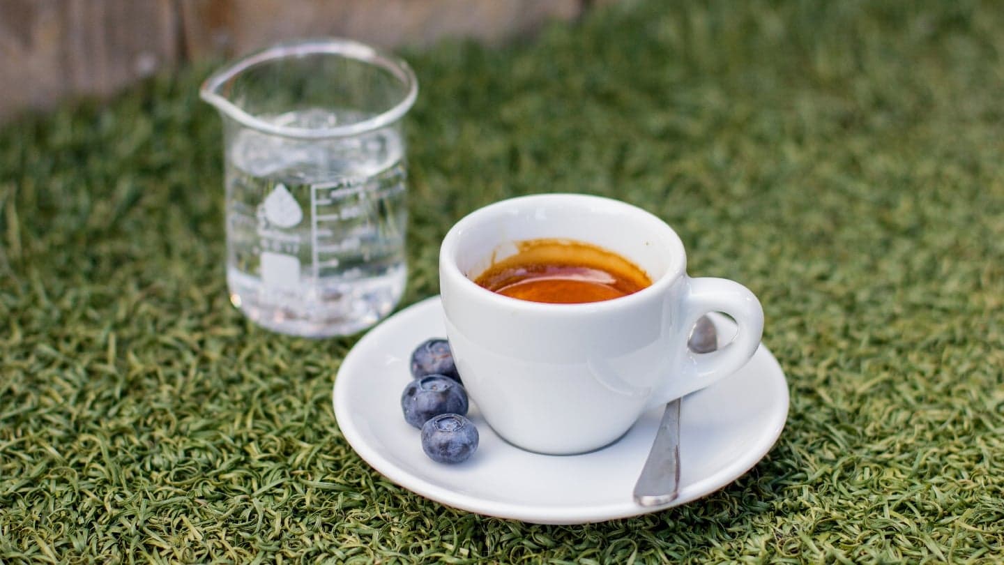 Photo of SPRO - Mission Dolores/Castro